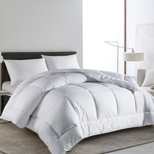 Modern & Contemporary Oversized King Comforter | AllModern